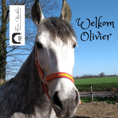 Welkom Olivier